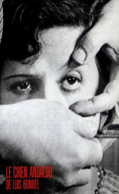 Le chien Andalou