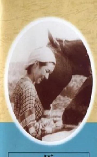 Un cheval