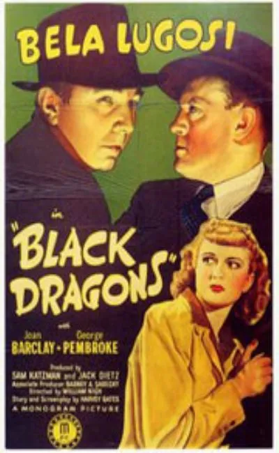 Black Dragons