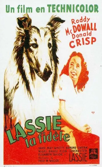 Lassie la fidèle