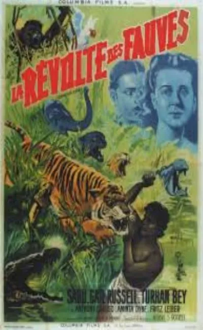 La révolte des fauves