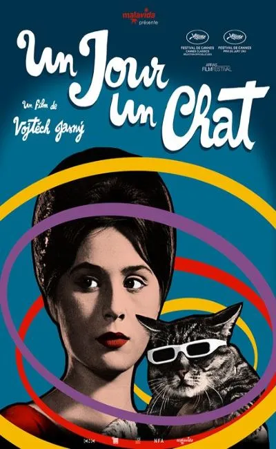 Un jour un chat