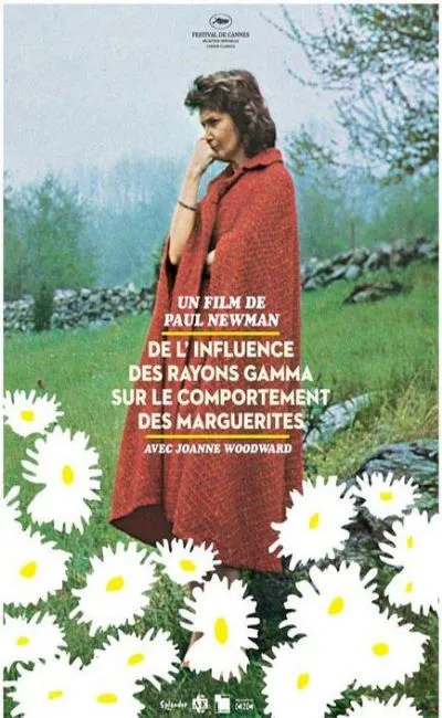 De l'influence des rayons gamma sur le comportement des marguerites