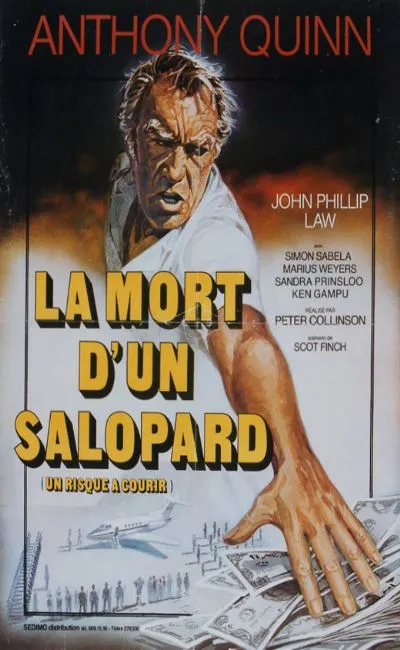 Un risque à courir