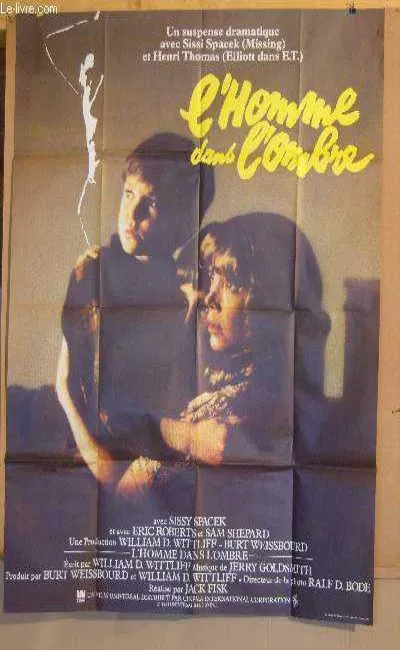 L'Homme dans l'ombre