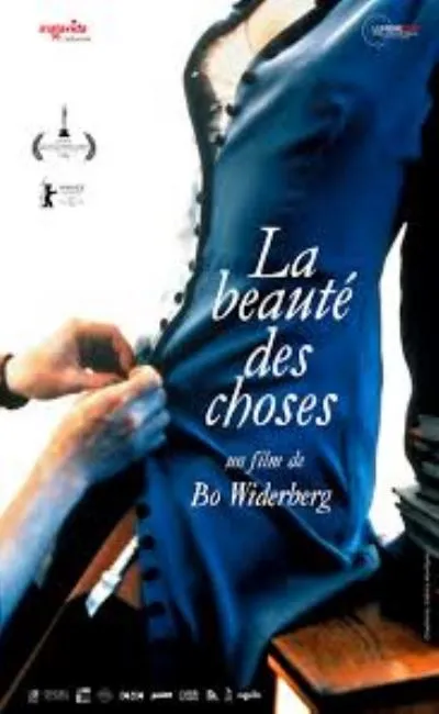 La beauté des choses (1995)