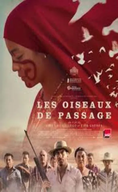 Les oiseaux de passage