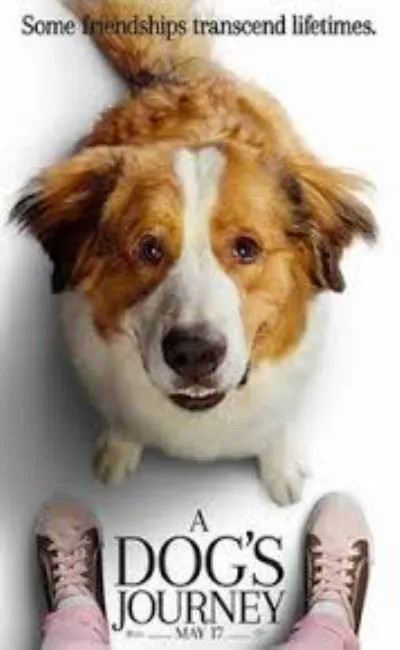 Mes autres vies de chien