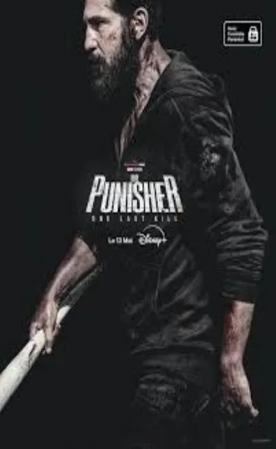 The Punisher : One Last Kill